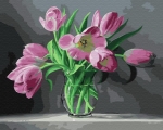 Картина по номерам Розовые тюльпаны 50 х 40 см Brushme